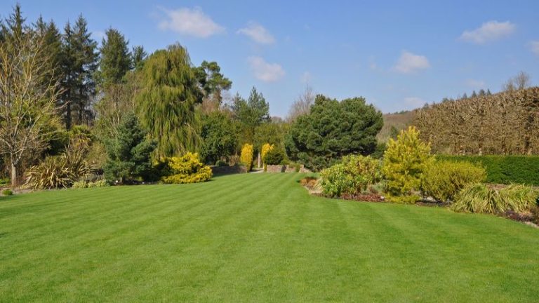 Hiring A Landscape Maintenance Company In Boardman, Ohio
