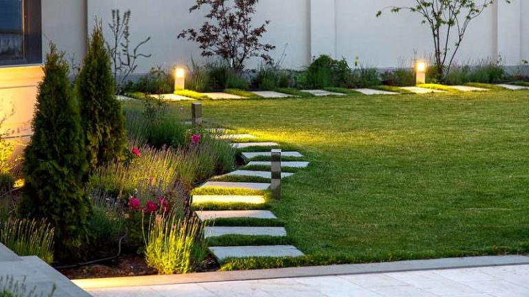 How To Light Up Your Backyard