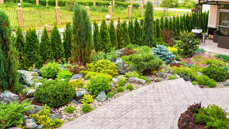 How to Landscape with Rocks & Natural Stones